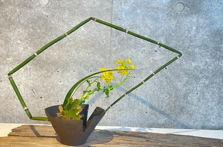 和のお花