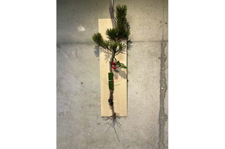 ご挨拶